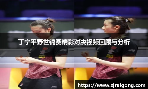 zoty中欧官方网站